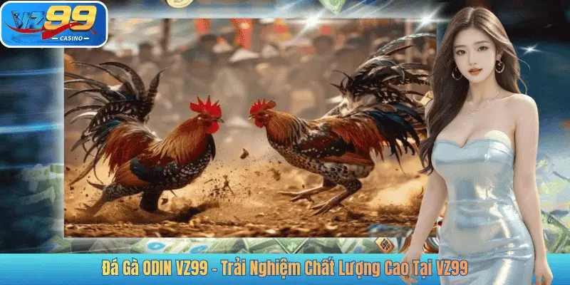 Đá Gà ODIN VZ99 – Trải Nghiệm Chất Lượng Cao Tại VZ99