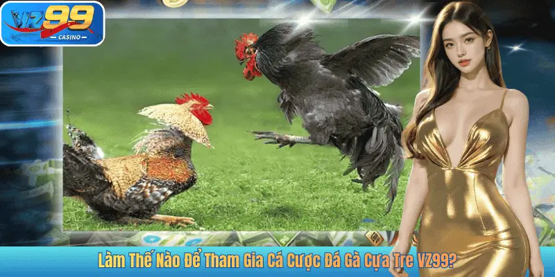 Làm Thế Nào Để Tham Gia Cá Cược Đá Gà Cựa Tre VZ99?